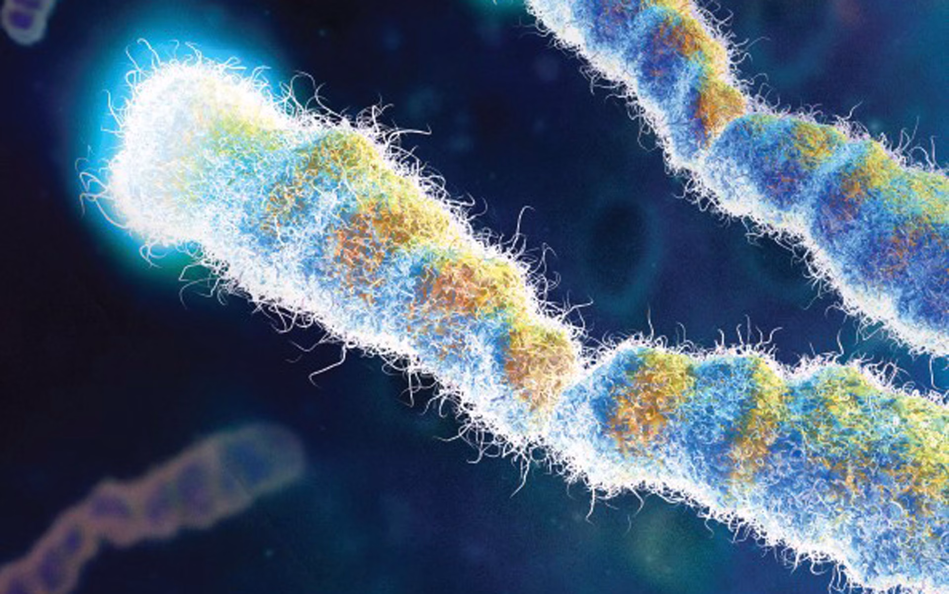 Single Stance Stability and Proprioceptive Control in Older Adults Living at Home: Gender and Age Differences